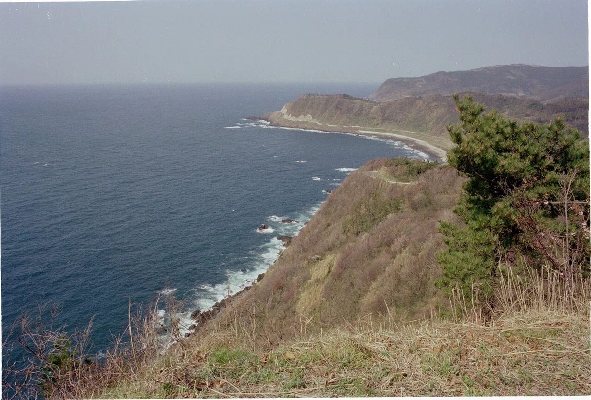 画像3