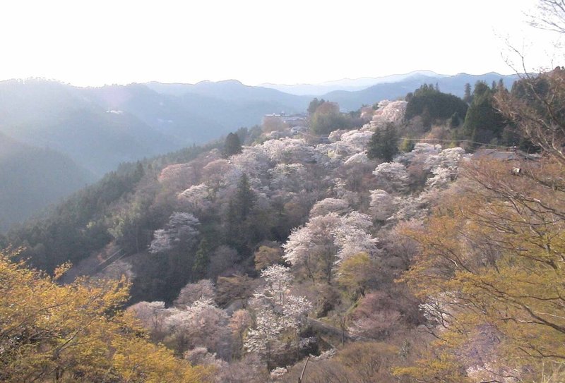 吉野の峠