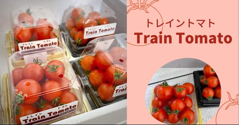 【トマト紹介】トレイントマト