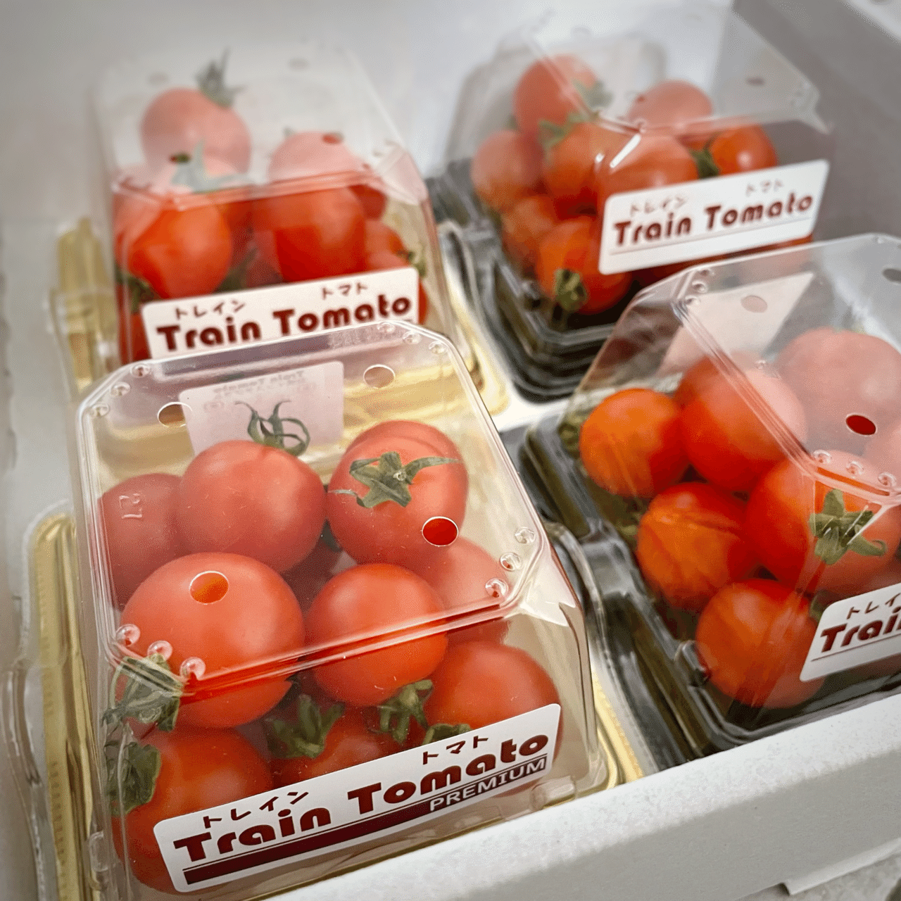 トマト紹介】トレイントマト｜トマトコンシェルジュYumi
