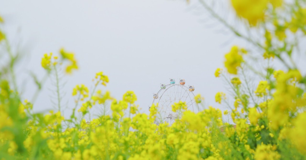 題名のない今日 の新着タグ記事一覧 Note つくる つながる とどける 題名のない今日 の新着タグ記事一覧 Note つくる つながる とどける