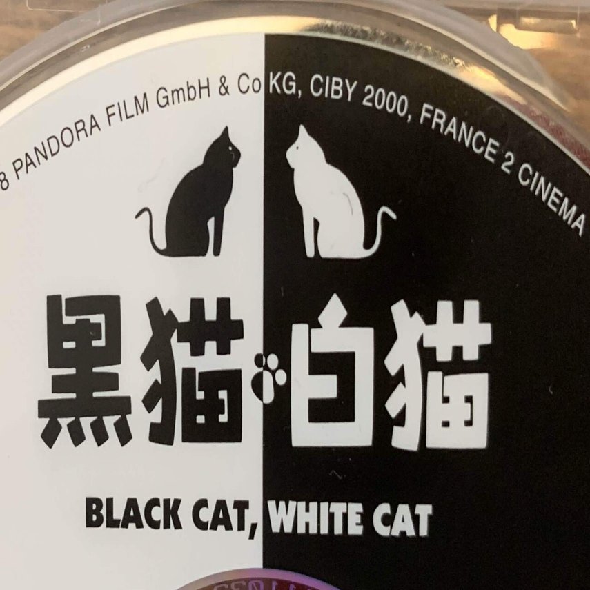 映画 黒猫白猫 Hirokophone Note