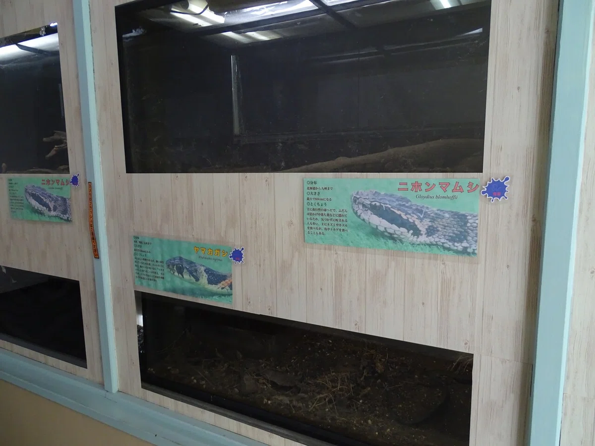 画像10