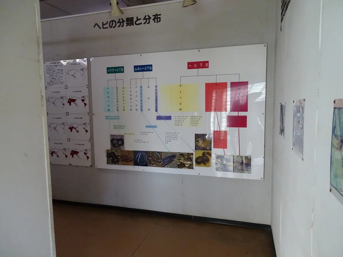 画像23