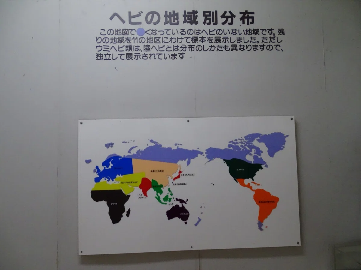 画像33