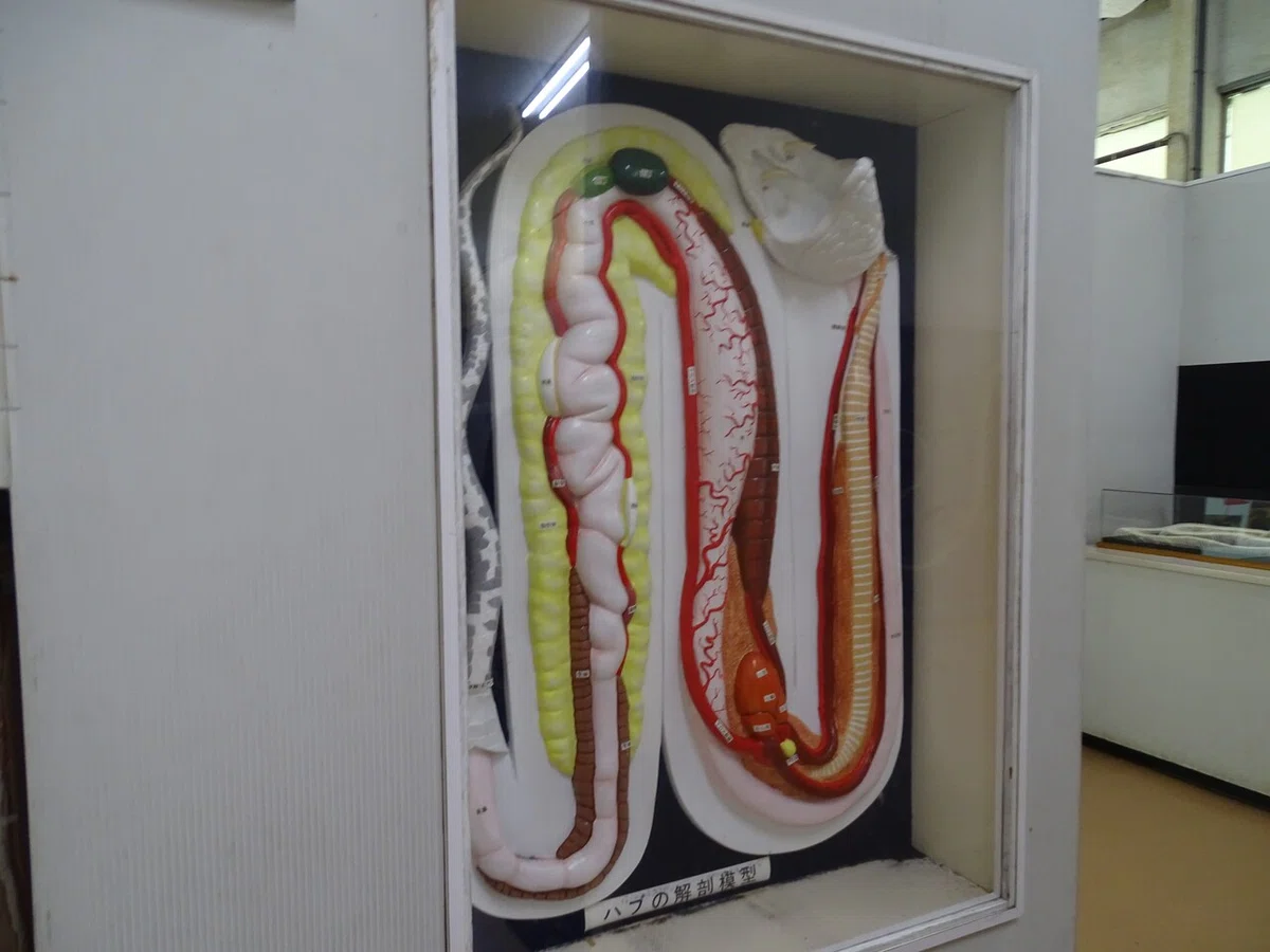 画像28