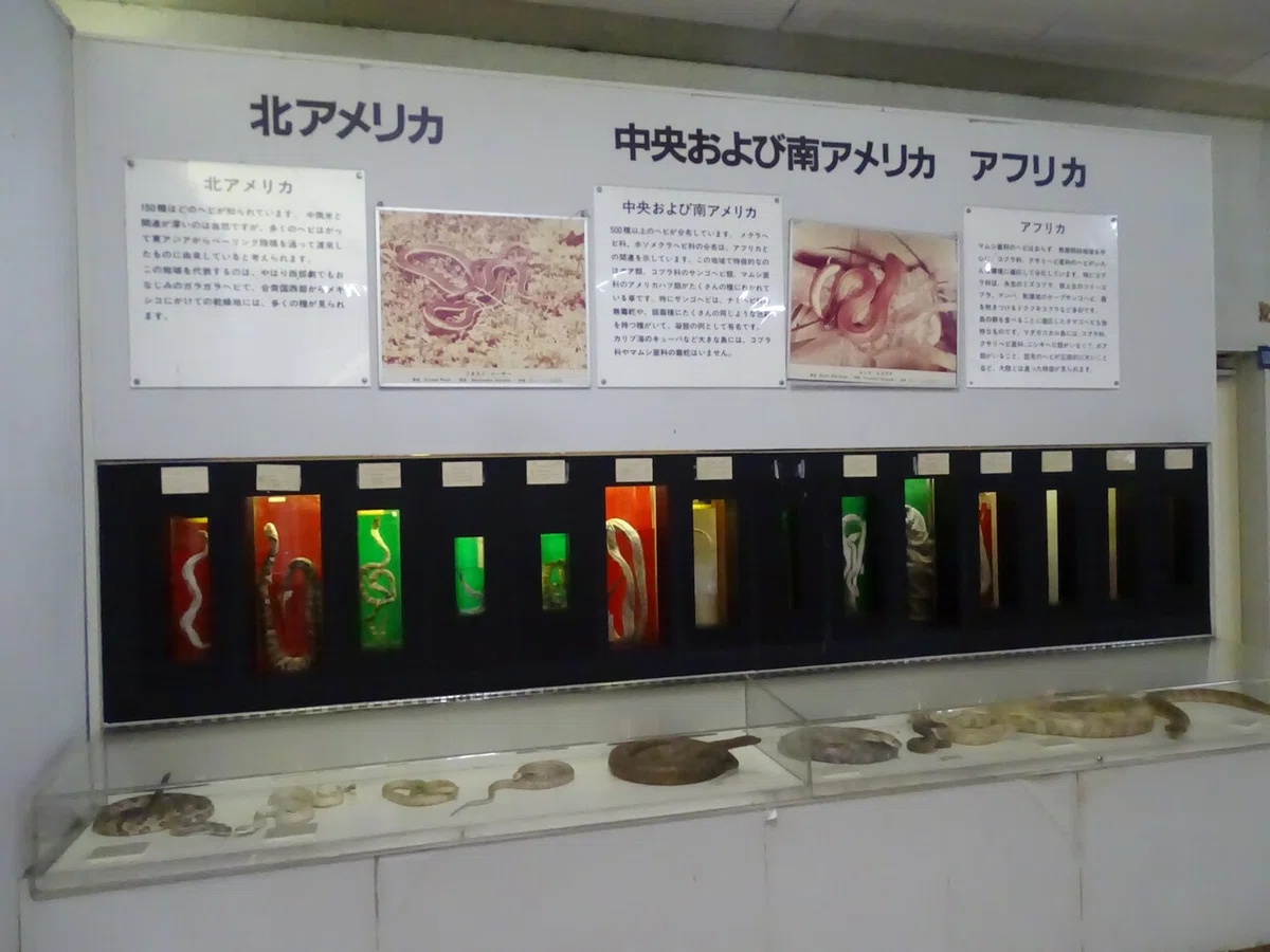 画像32
