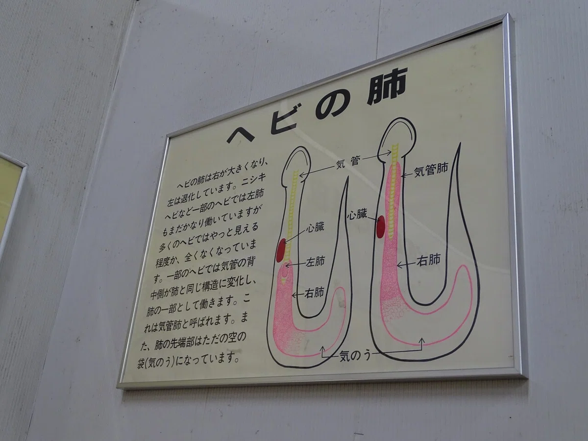 画像30