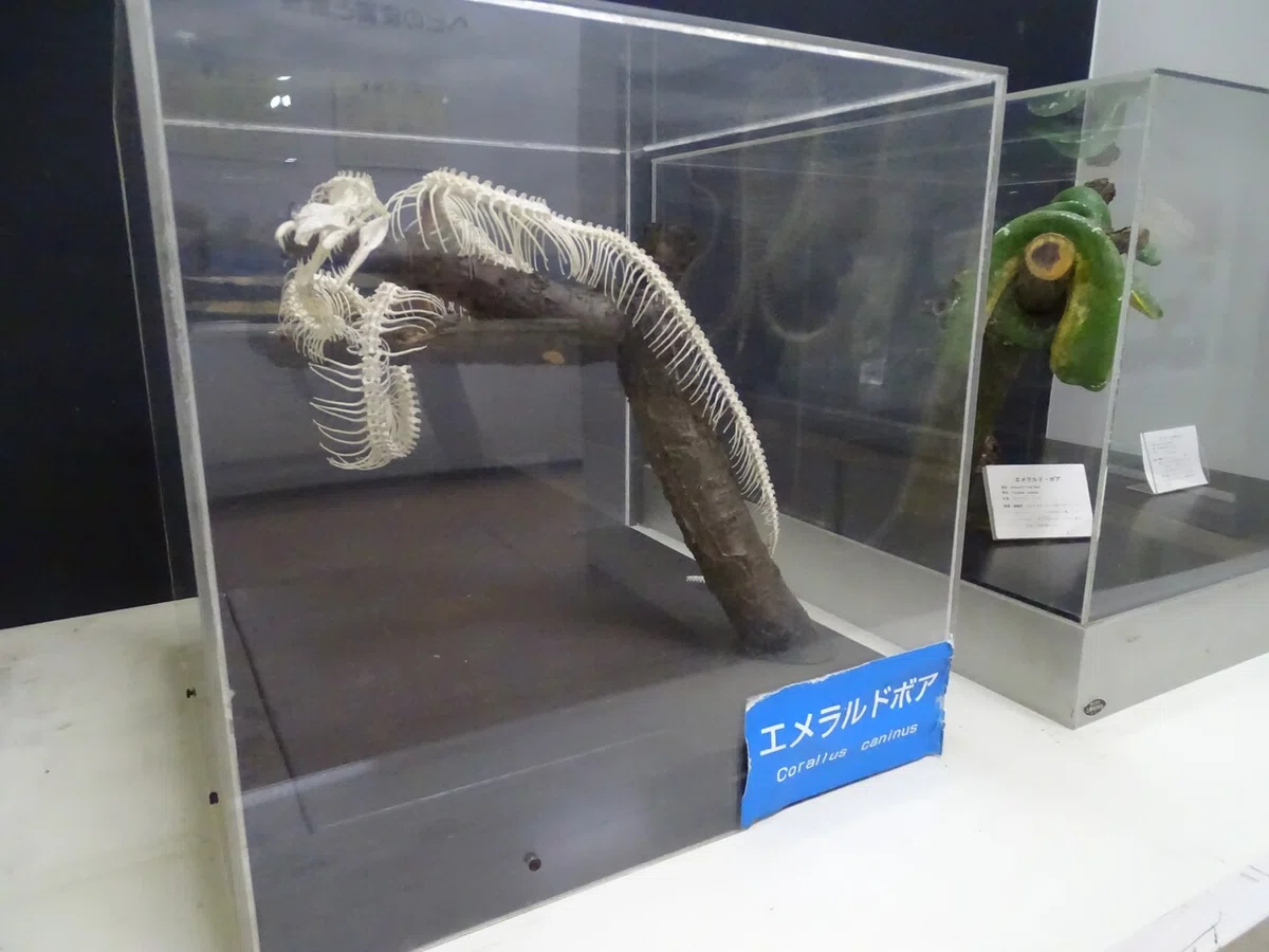 画像26