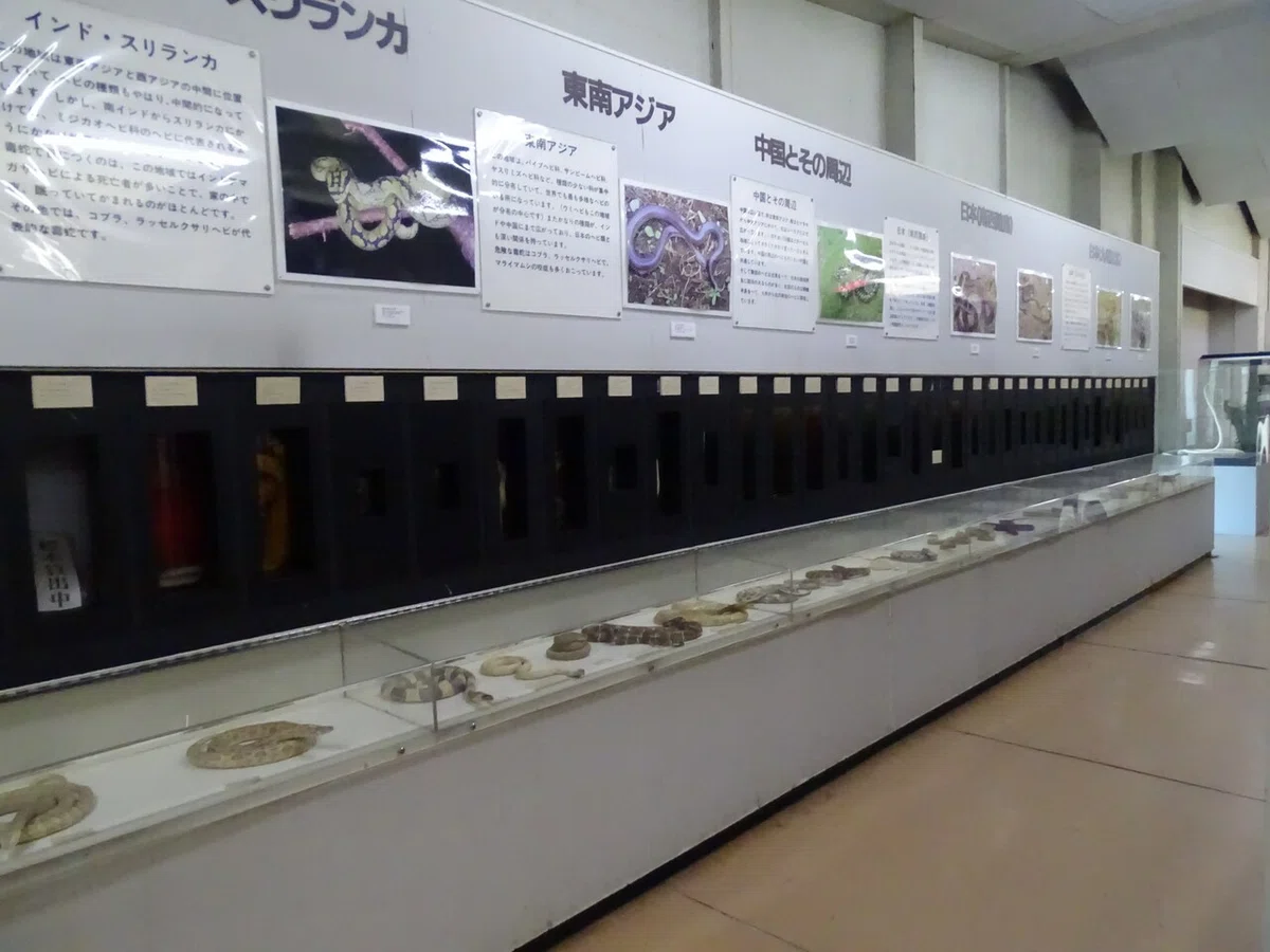 画像40