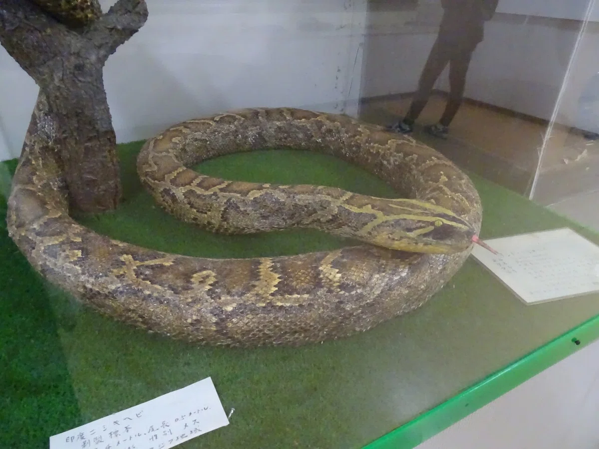 画像38