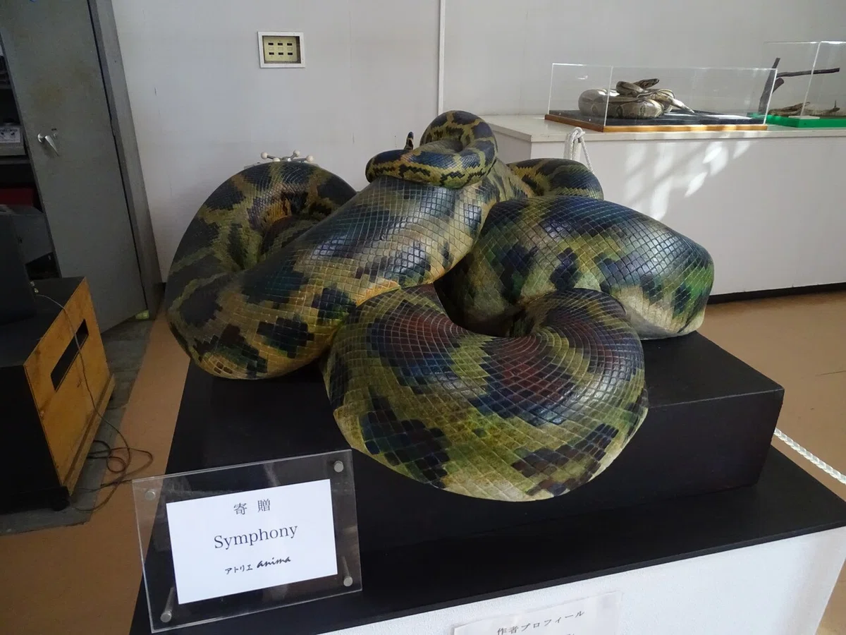 画像46