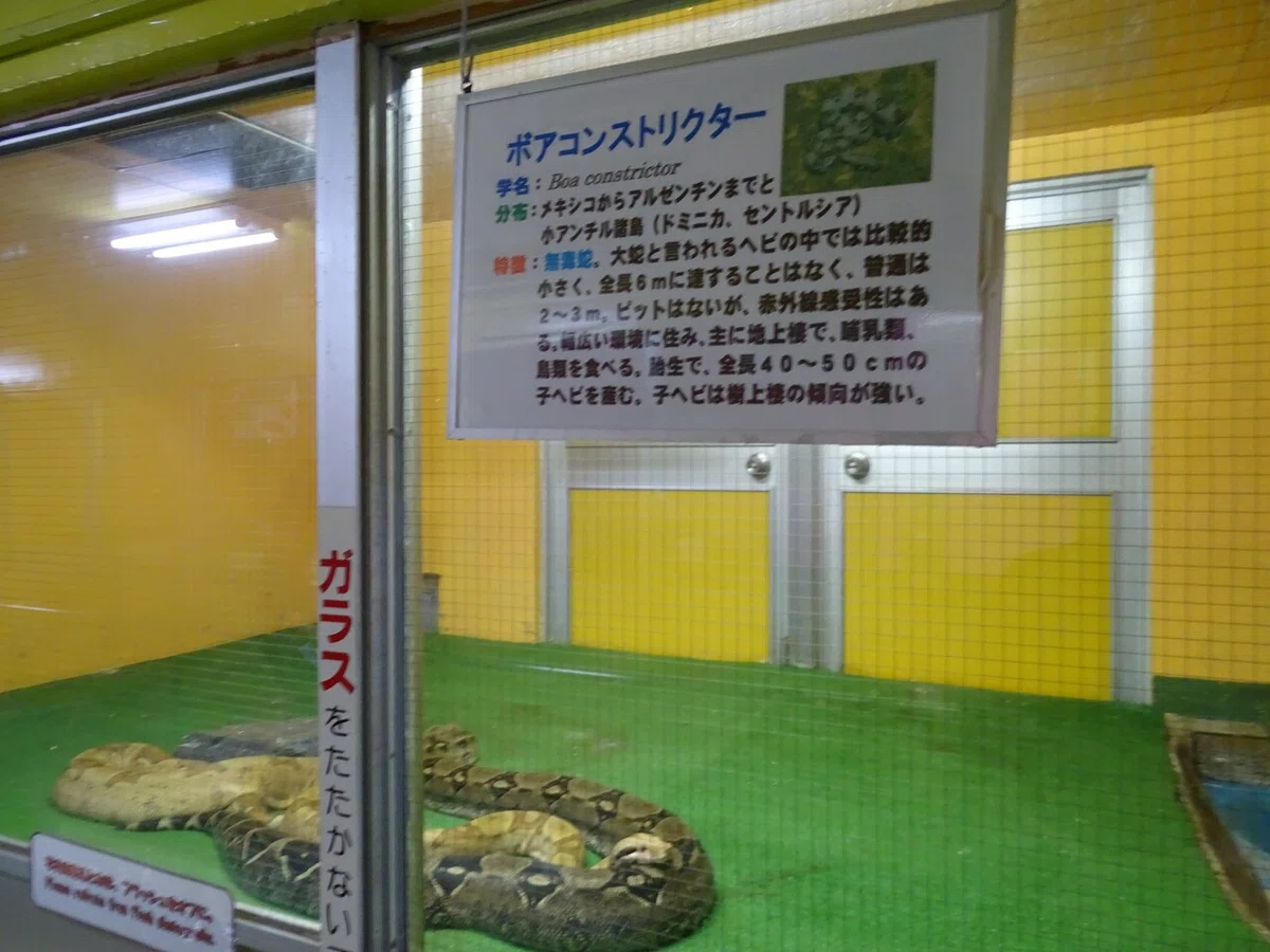 画像63