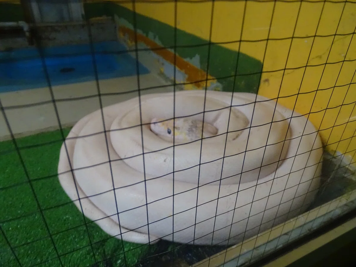 画像59