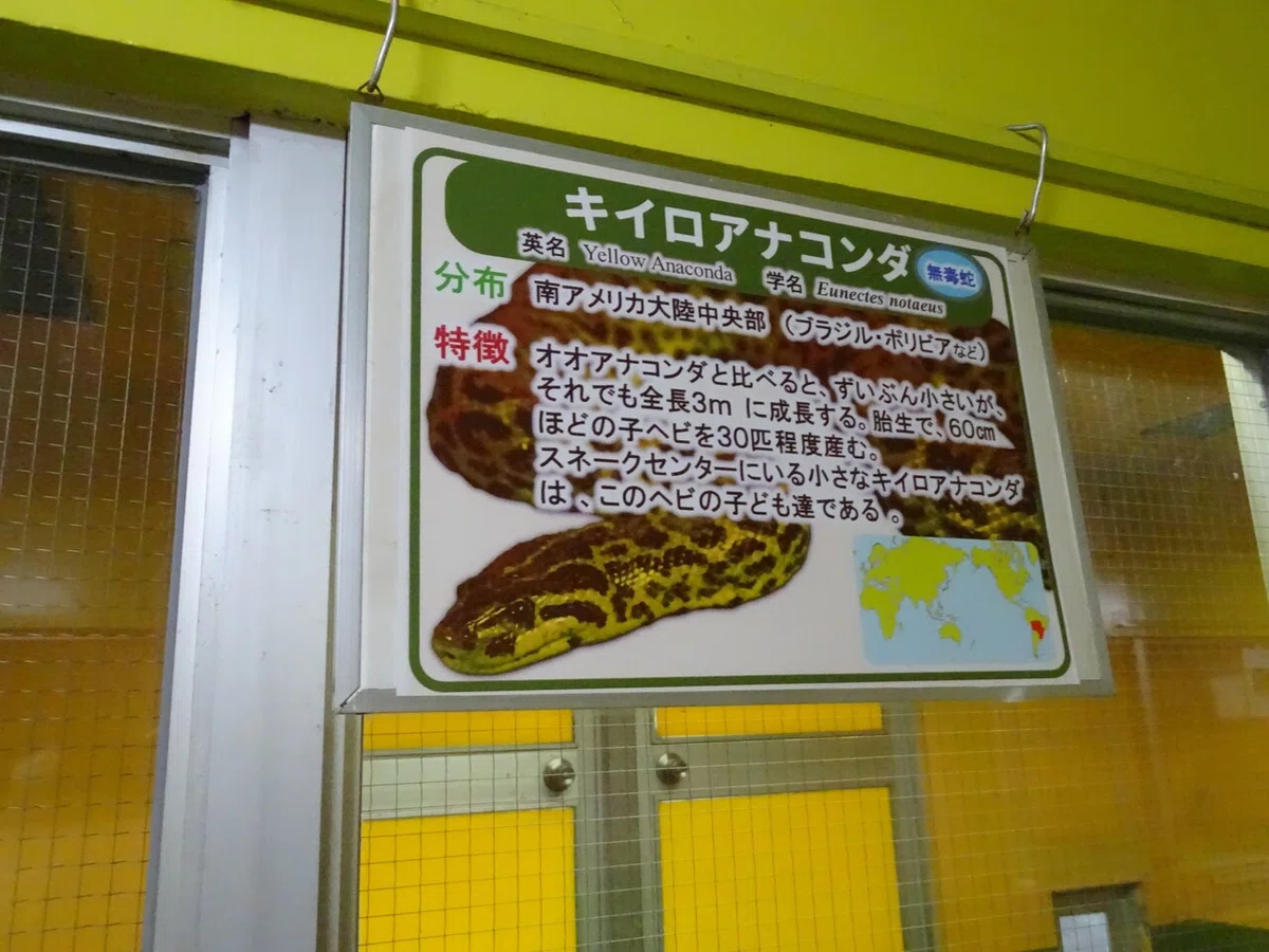 画像68