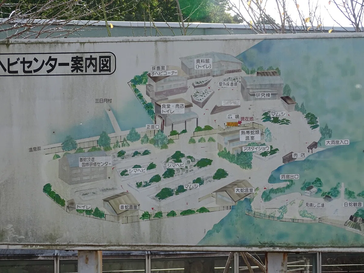 画像48