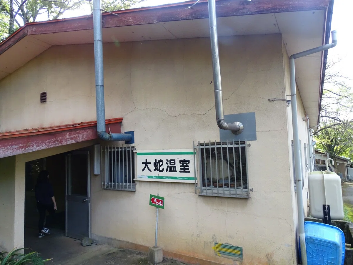画像55