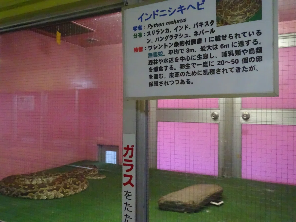 画像65