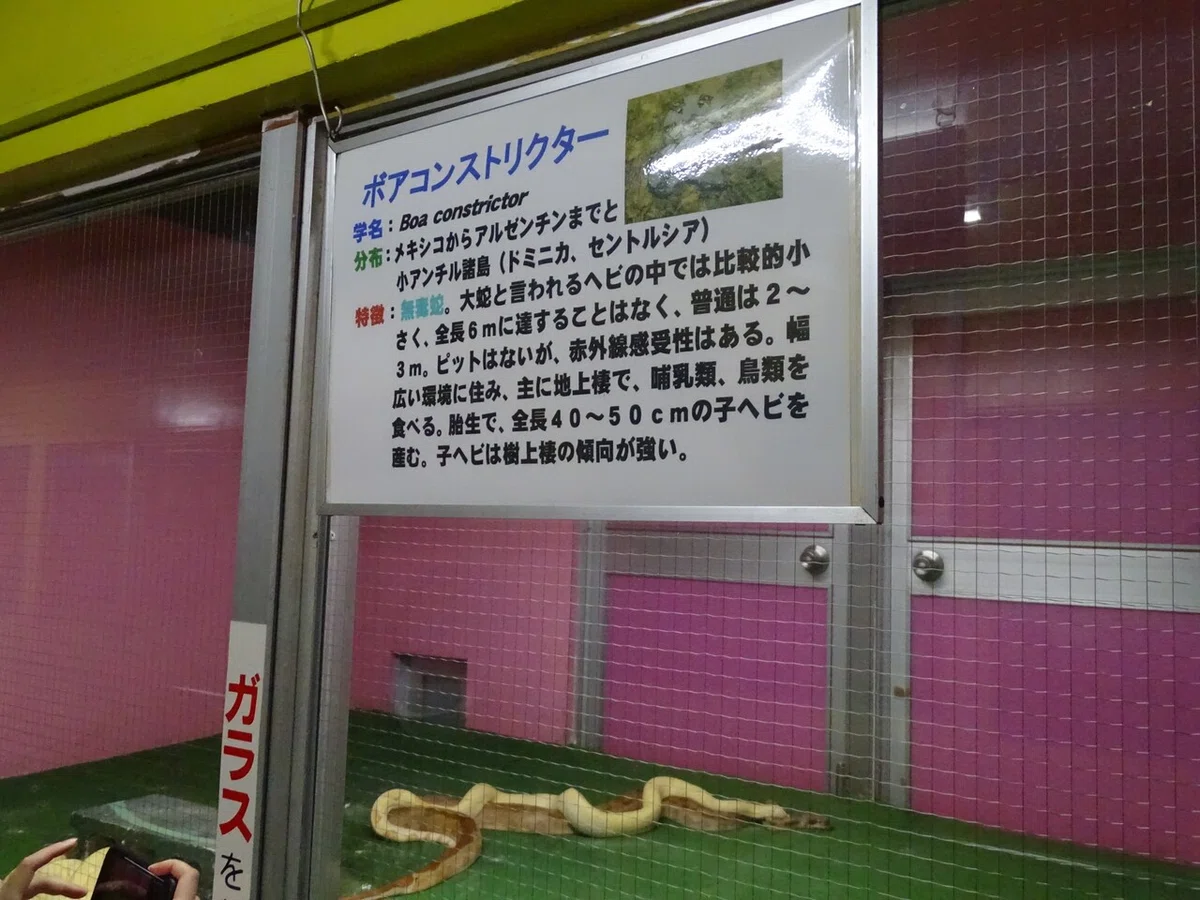 画像41
