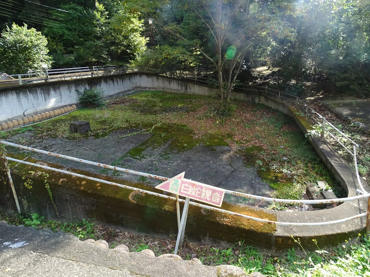 画像50