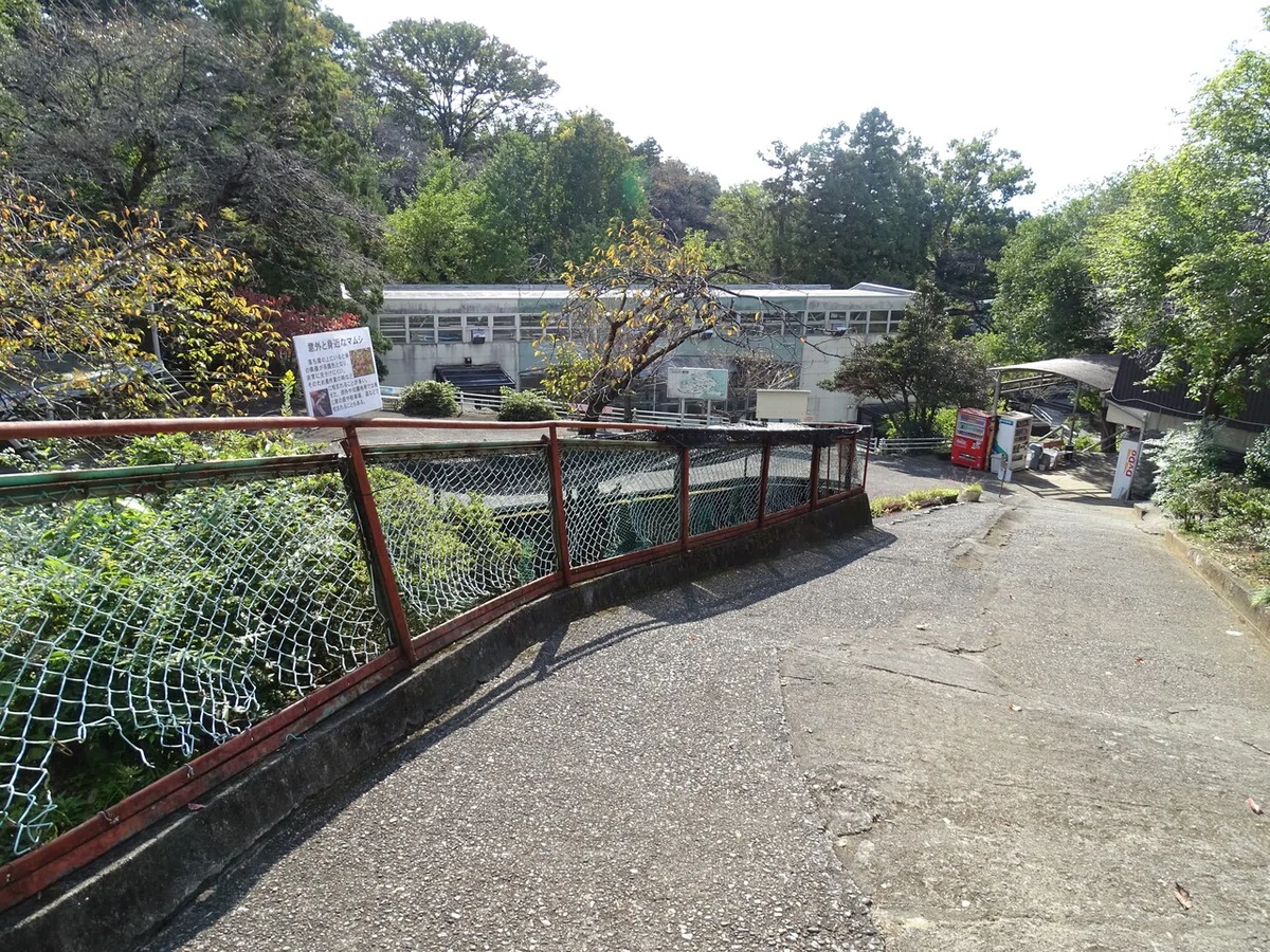 画像47