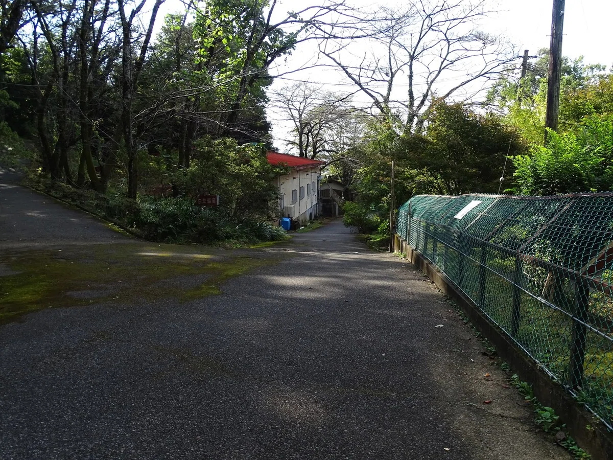 画像54