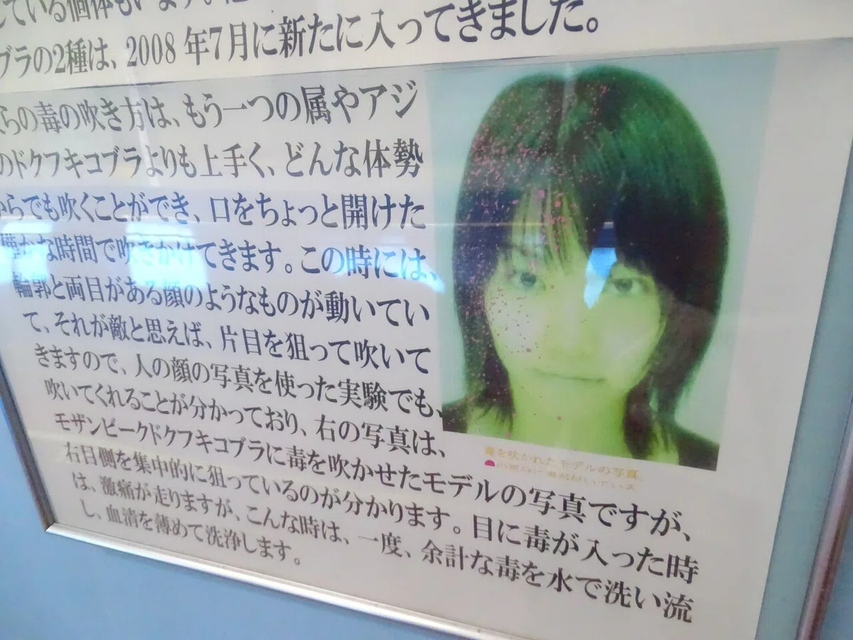 画像69