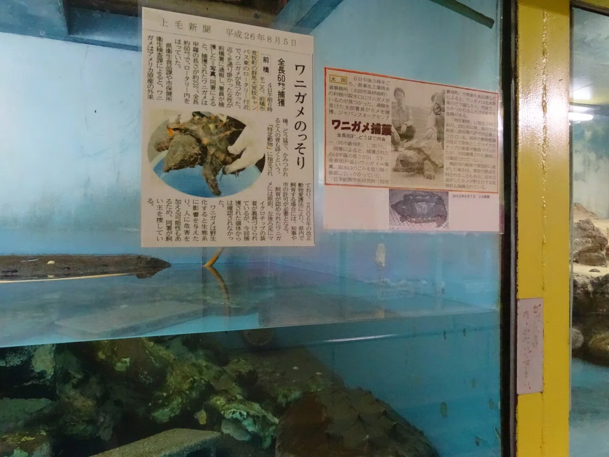 画像71