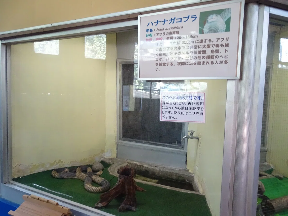 画像83