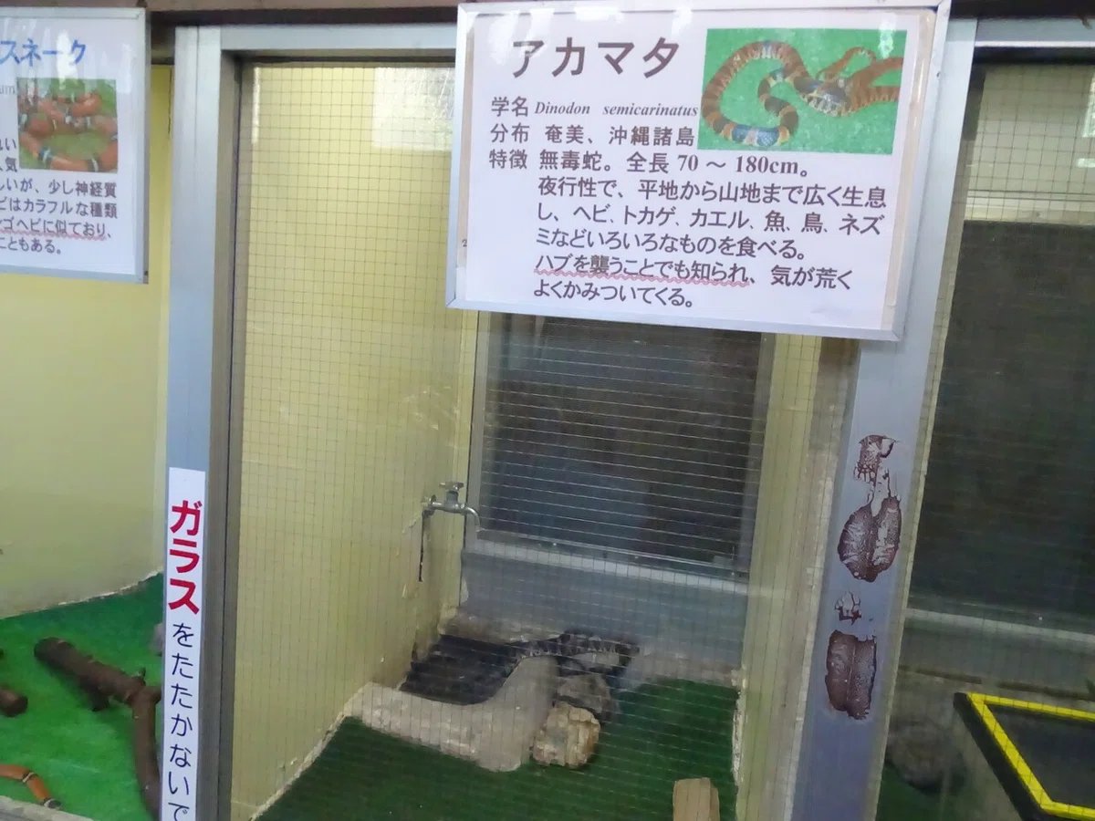 画像86