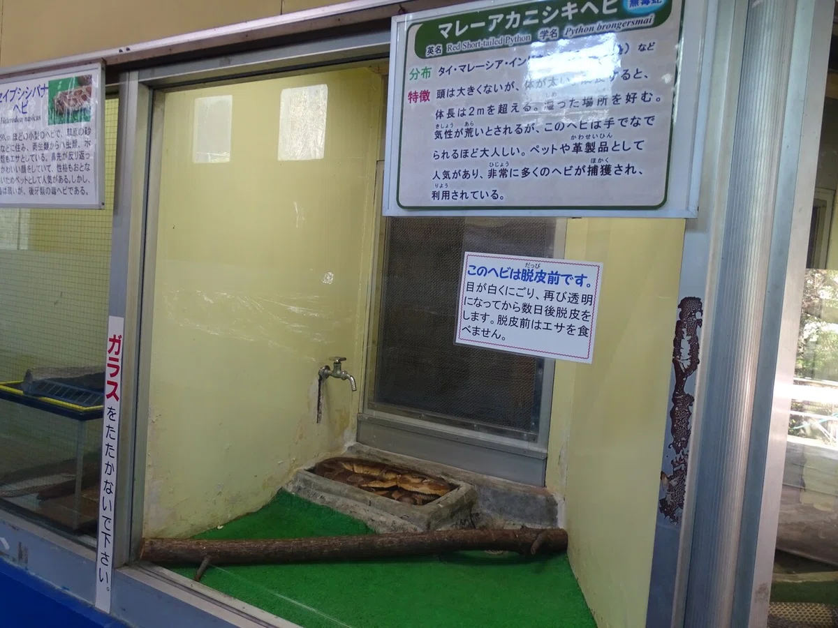 画像84