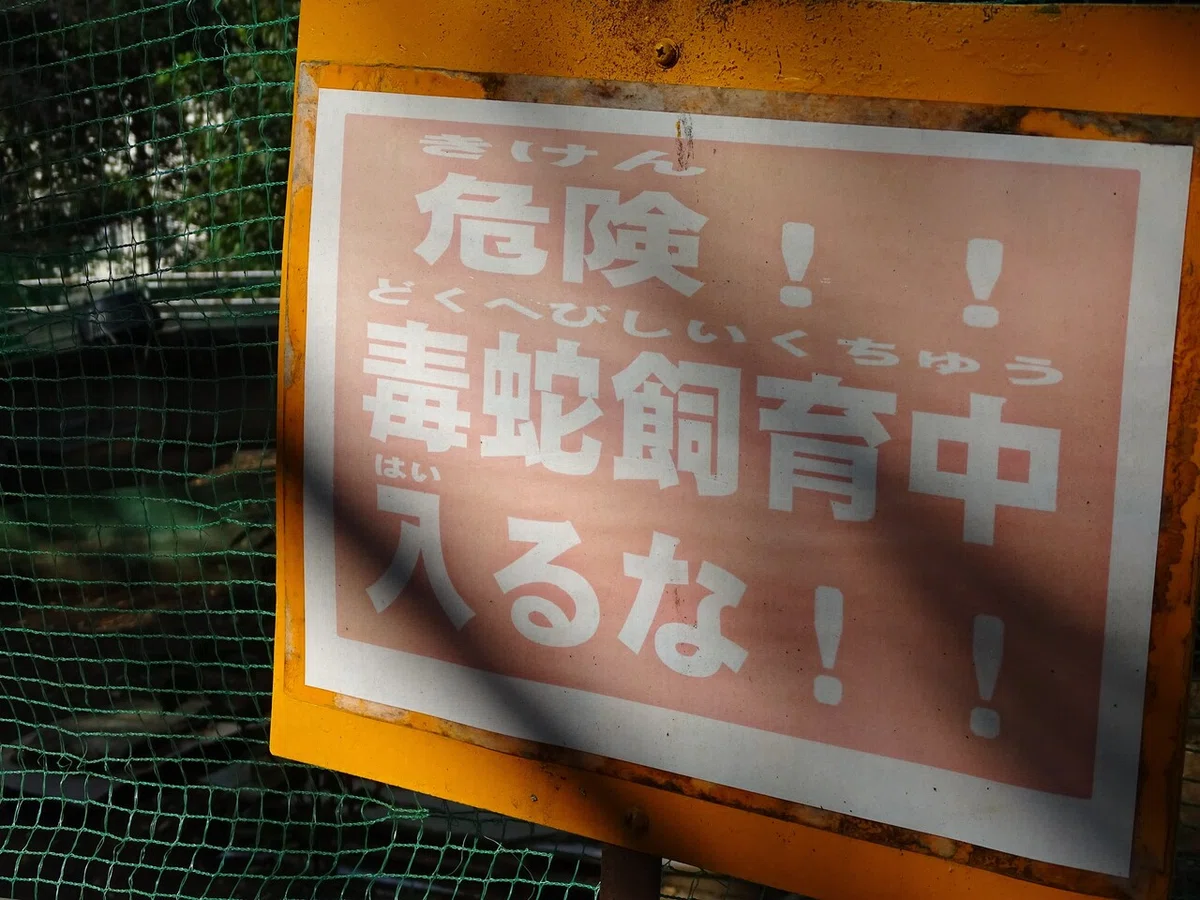 画像77