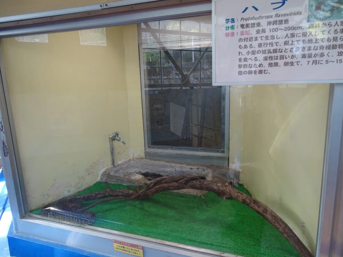 画像90