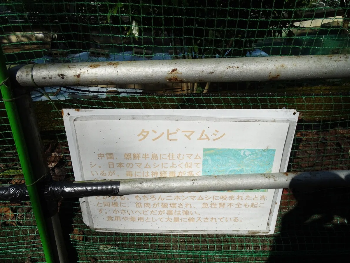 画像75
