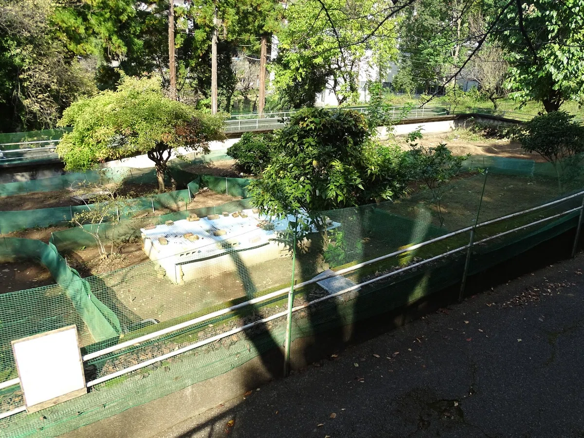 画像73
