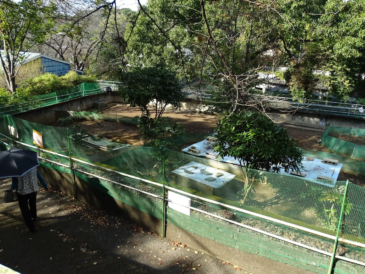 画像74