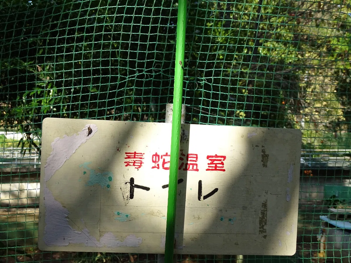 画像78