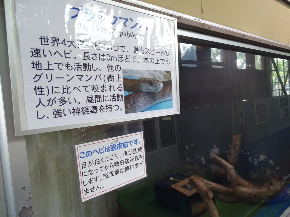 画像107