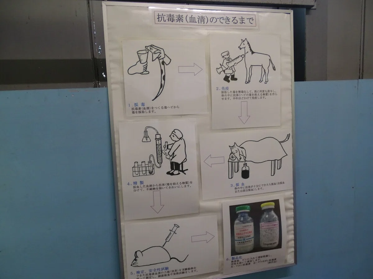 画像113