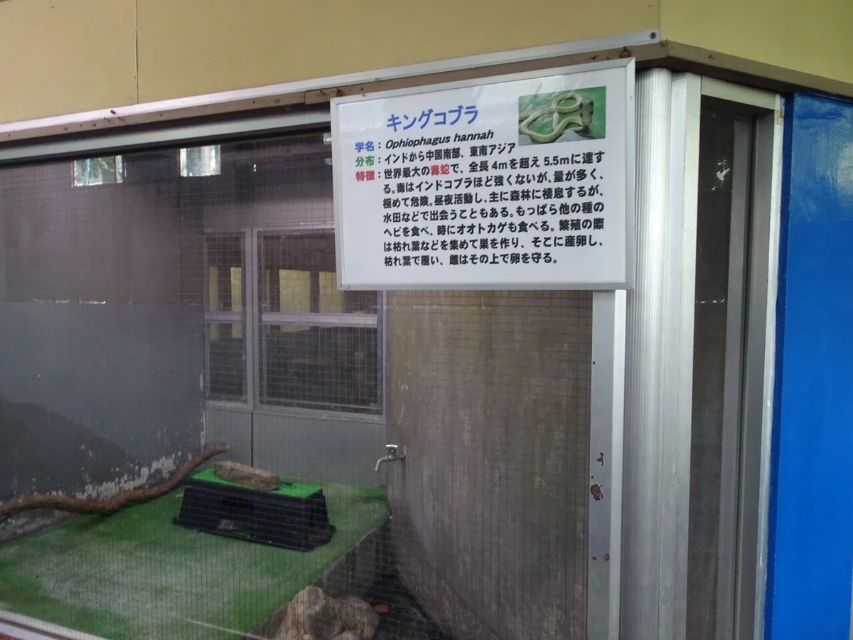 画像105