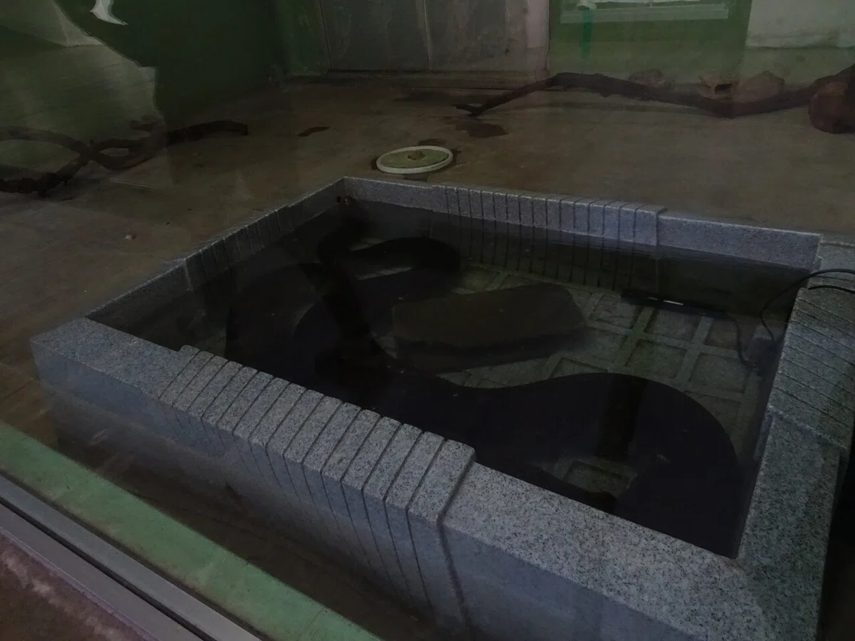 画像144