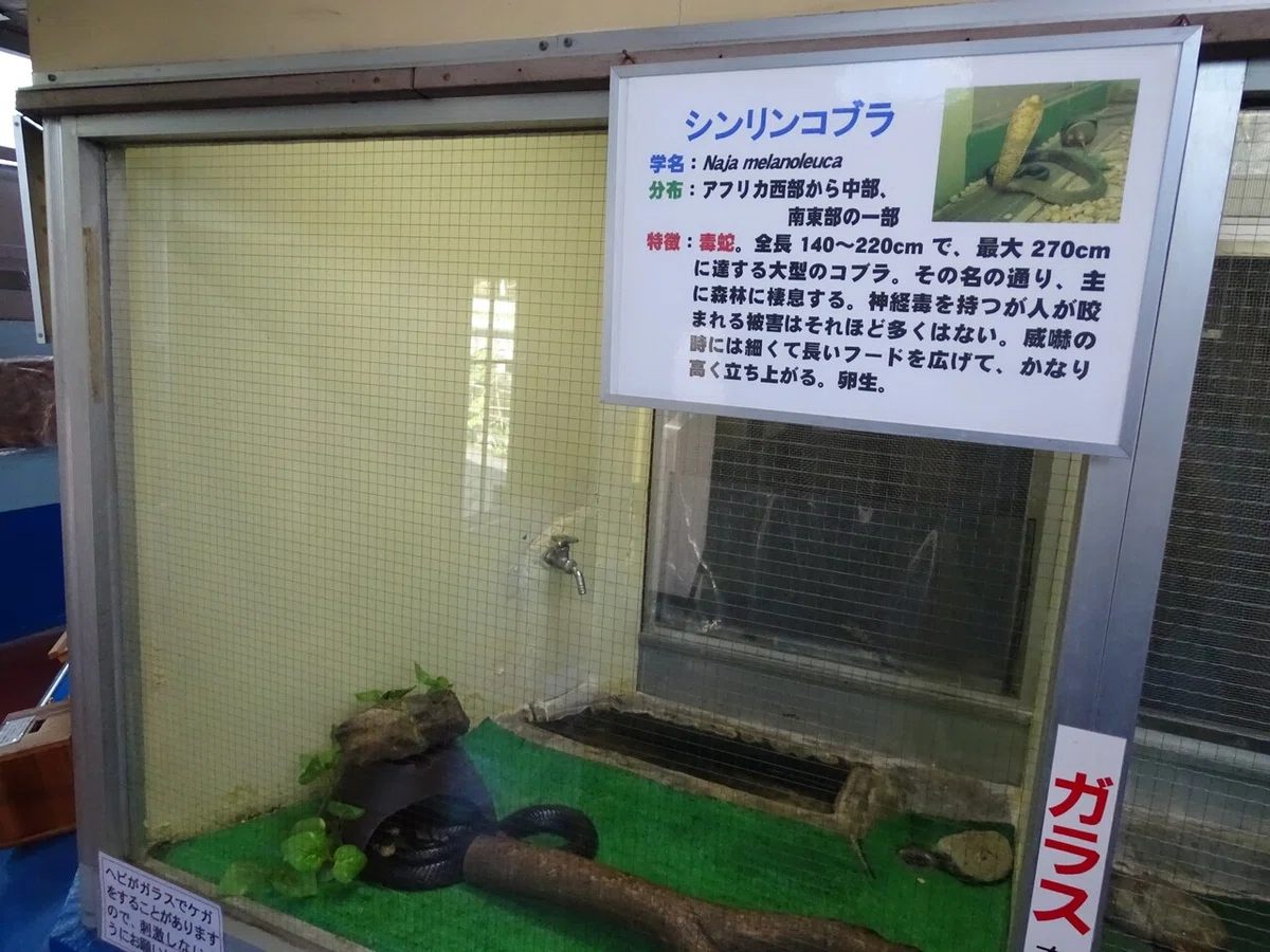 画像123