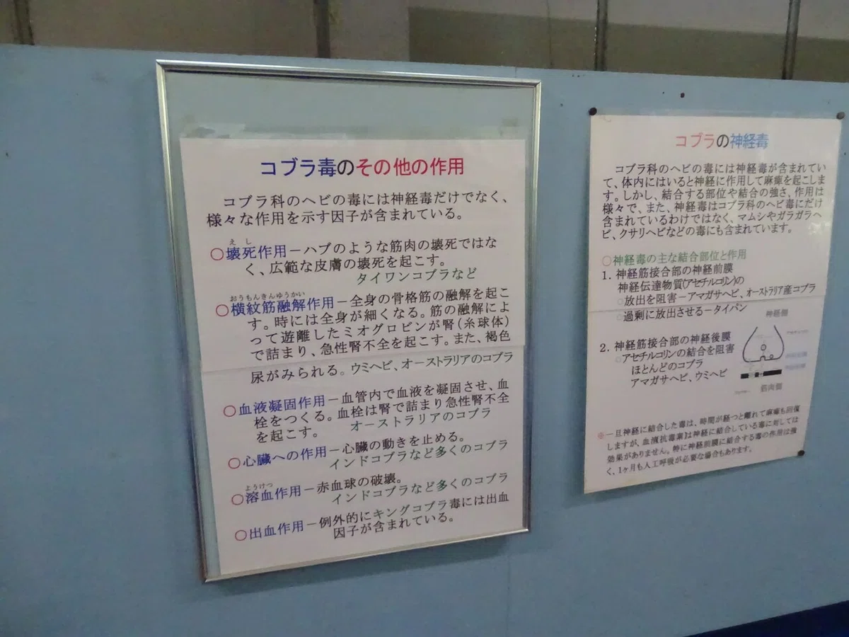 画像114