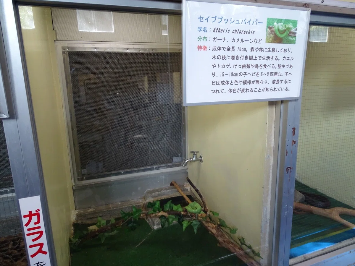 画像100