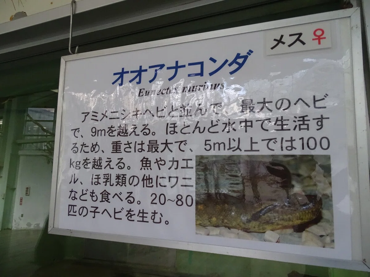 画像143