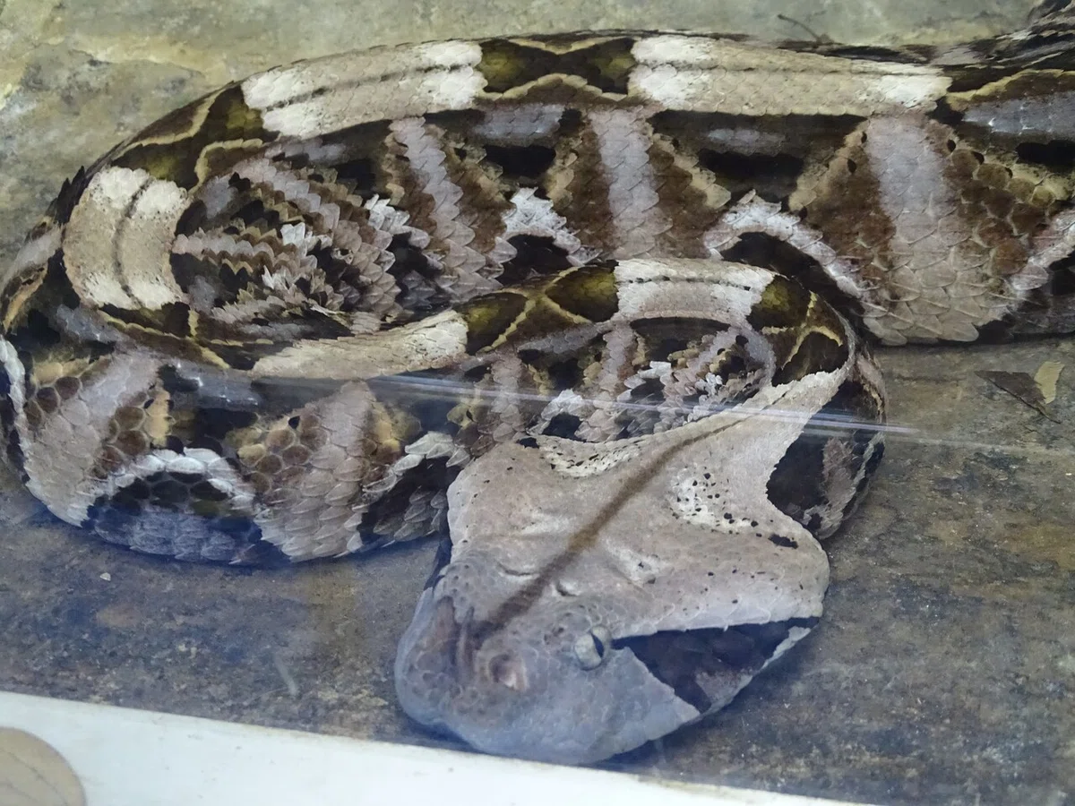 画像110