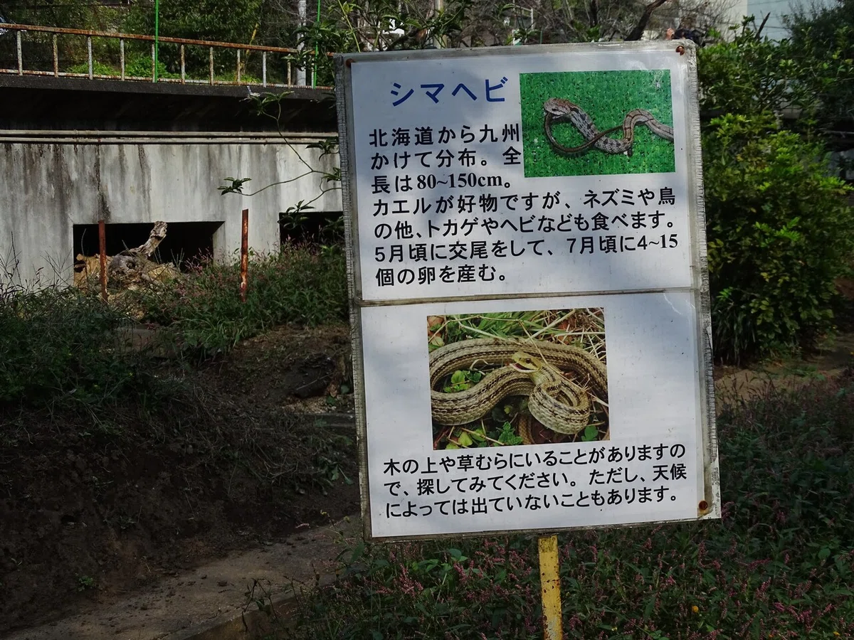 画像126