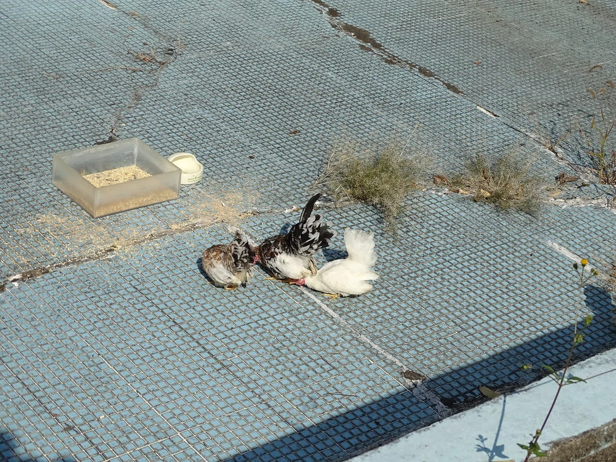 画像135