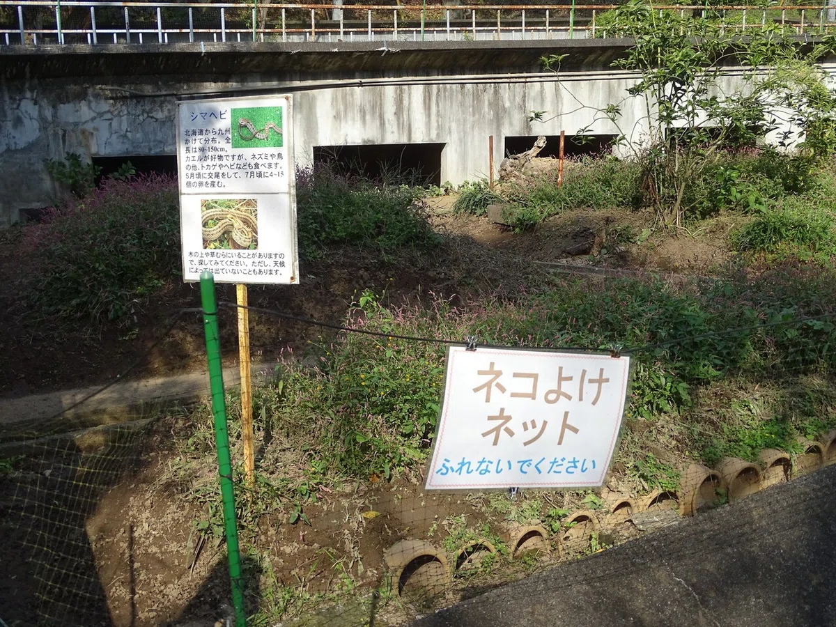 画像124