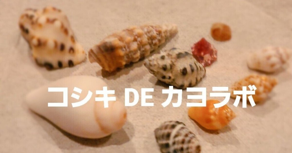 コシキ DE カヨラボ、コシキラボ計画案｜カヨサトー | KAYO SATO